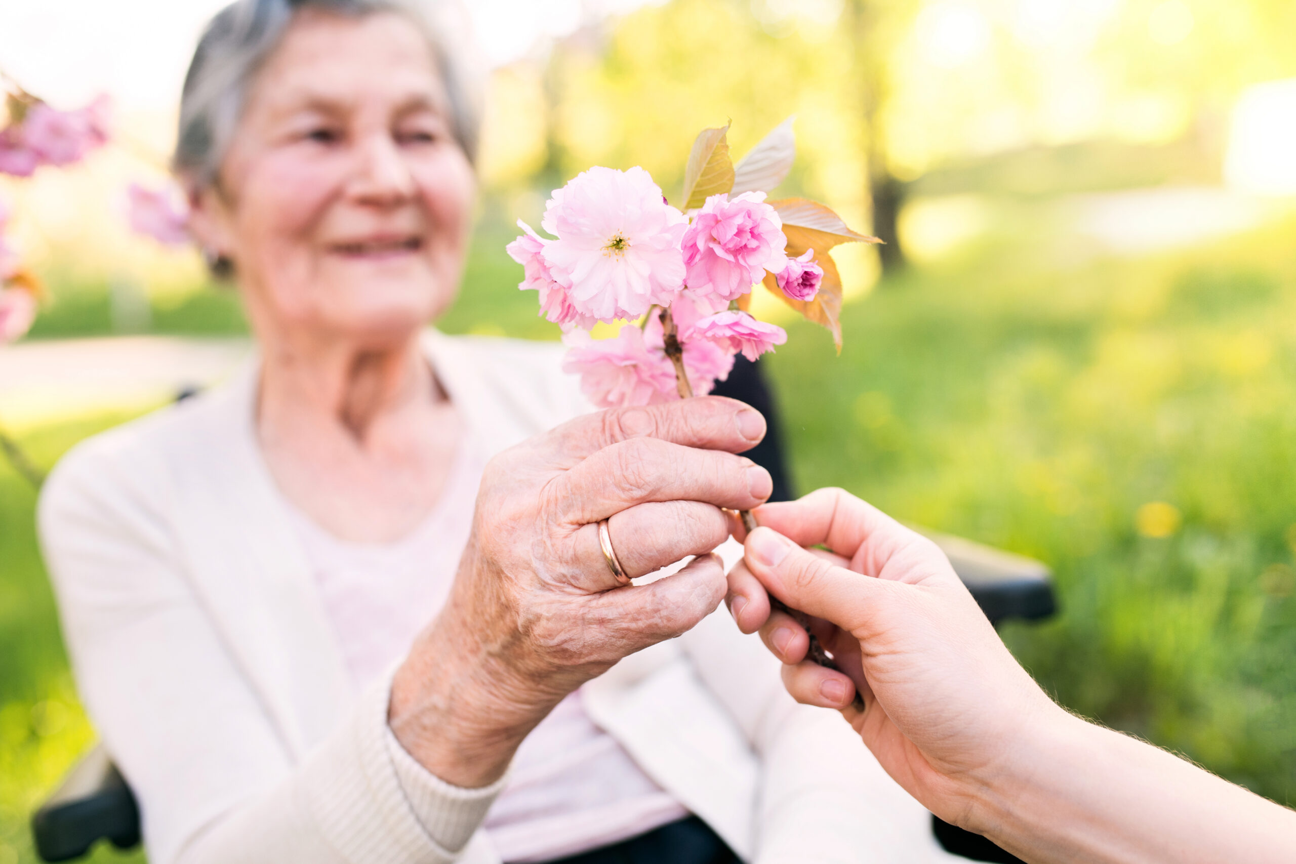 Elderly Grandmother In Wheelchair With Granddaughter In Spring Nature.